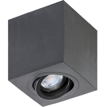Lumină montată pe suprafață BRANT AZ2825 1x50W/GU10 IP20 de la AZzardo