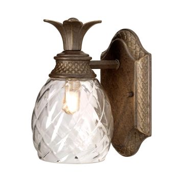 Aplique de perete PLANTATION HK-PLANT-BATH-PZ 1x3,5W/G9 320LM IP44 de la Hinkley Lighting