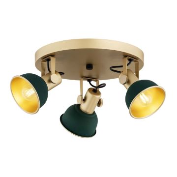 Spot LENORA 6242 3x7W/E14 IP20 de la Argon
