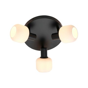 Spot MILFORD 2412606003 3x25W/E14 IP20 de la Nordlux