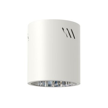 Lumină montată pe suprafață GEORGE ML0481 1x60W/E27 IP20 de la Milagro