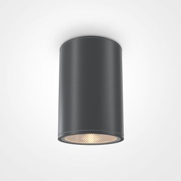 Lumină montată pe suprafață BAR O306CL-L12GF 3000K 1x12W/LED 1300LM IP65 de la Maytoni