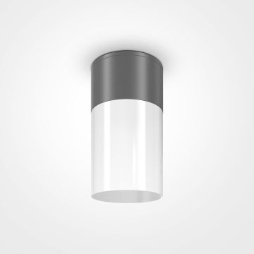 Lumină montată pe suprafață WILLIS O418CL-01GR 1x60W/E27 IP54 de la Maytoni