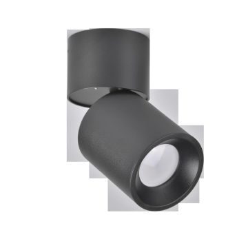 Lumină montată pe suprafață NIXA 314246 max 10W LED IP20 de la Polux