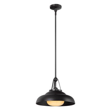 Lampă cu pendul Palmetto QN-PALMETTO-P-M-UBZ 1x60W/E27 IP20 de la Quintiesse