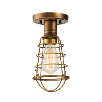 Lustră de tavan Mixon QZ-MIXON-SF-WS 1x60W/E27 de la Quoizel