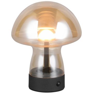 Lampă de masă DOOLEY R54981113 3000k 1x1.5w/led 140lm ip20 de la Trio