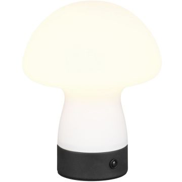 Lampă de masă DOOLEY R54981131 3000k 1x1.5w/led 140lm ip20 de la Trio