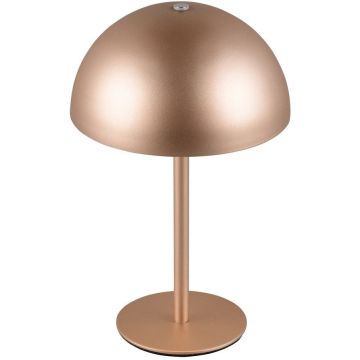 Lampă de masă MUNOZ R54891165 3000k 1x1.3w/led 120lm ip20 de la Trio