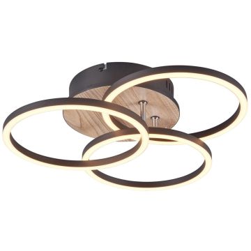 Lampă de tavan CIRCLE R62823135 2700-6000K 1x27w/led 3200lm ip20 de la Trio