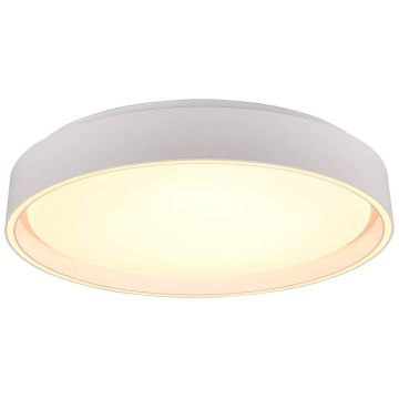 Lampă de tavan FELIS R64391031 2700-6500K 1x24w/led 2500lm ip20 de la Trio