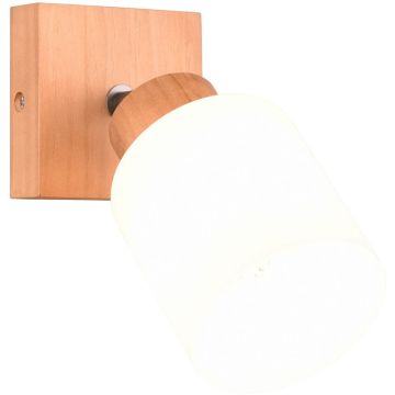 Aplique de perete ASSAM R81111030 1x25w/e14 ip20 de la Trio