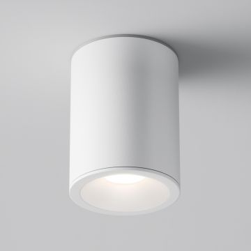 Lumină montată pe suprafață ZOOM C029CL-01W 1x50W/GU10 IP65 de la Maytoni