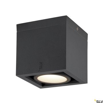 Lumină montată pe suprafață ESKINA 1006316 3000K|4000K 1x15W/LED 1100LM|1200LM IP65 de la SLV