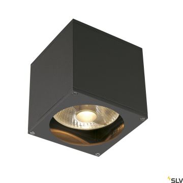 Aplique de perete THEO 229565 1x75W/GU10/ES111 IP44 de la SLV