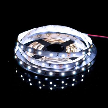 Bandă LED PROline TAS4205SLL 6000K 60x6W/m/LED 620 lm/m IP20 de la SMD LED
