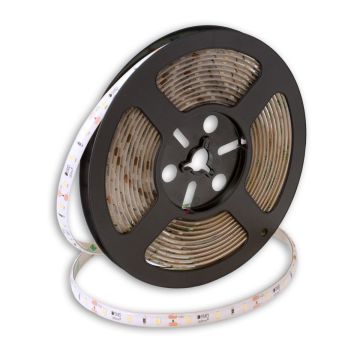 Bandă LED PROline TAS4243SLL 4000K 60x6W/m/LED 720 lm/m IP66 de la SMD LED