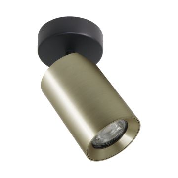 Spot TORE TLS006-GLD 1x35W/GU10 IP20 de la Zuma Line