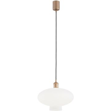 Lampă cu pendul TRESCO 8980 1x15W/E27 ip20 de la Argon