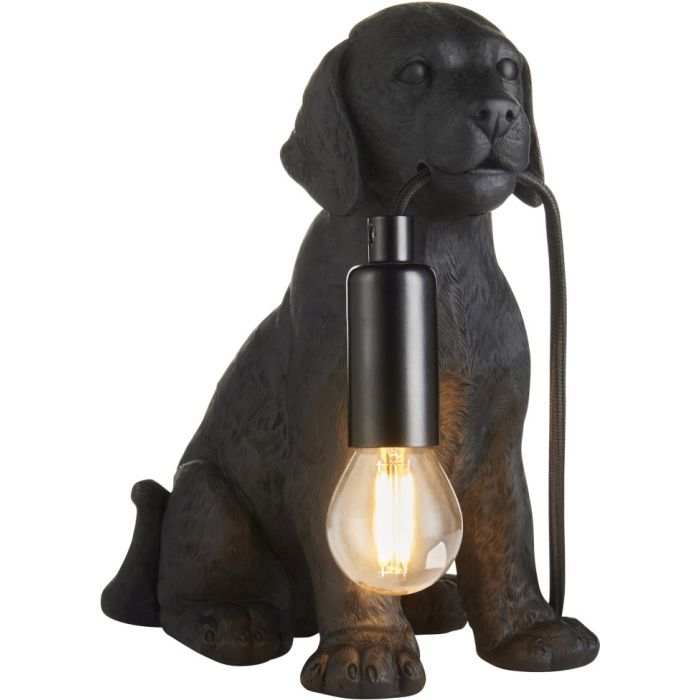 Labrador Puppy-107365-Endon-249366
