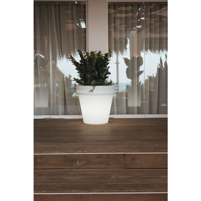 MAGNOLIA-3167-New Garden-251609