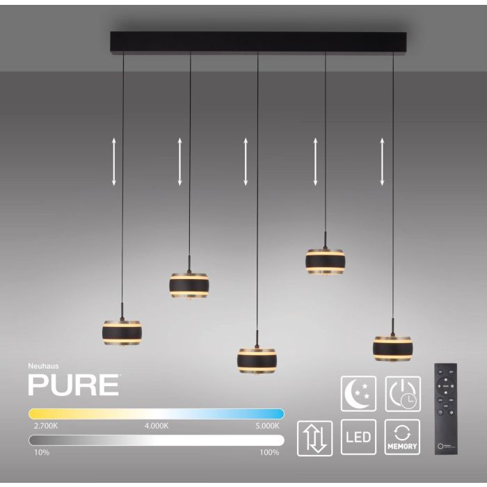 PURE FALLING RINGS-2504-18-Paul Neuhaus-251467