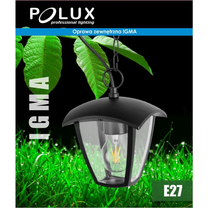 IGMA-311887-Polux-171018