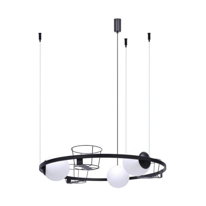 Plant-5005-Zuma Line-218074
