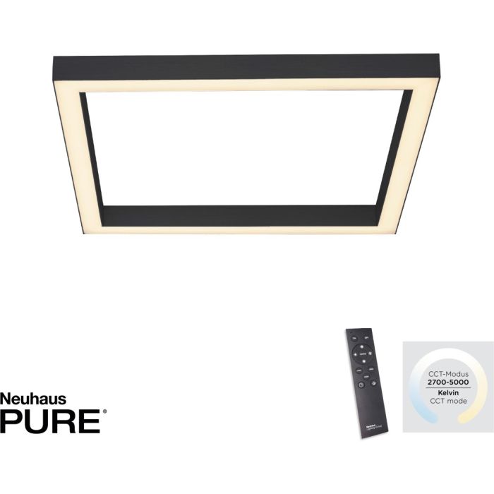PURE-LINES-6022-13-Paul Neuhaus-250673
