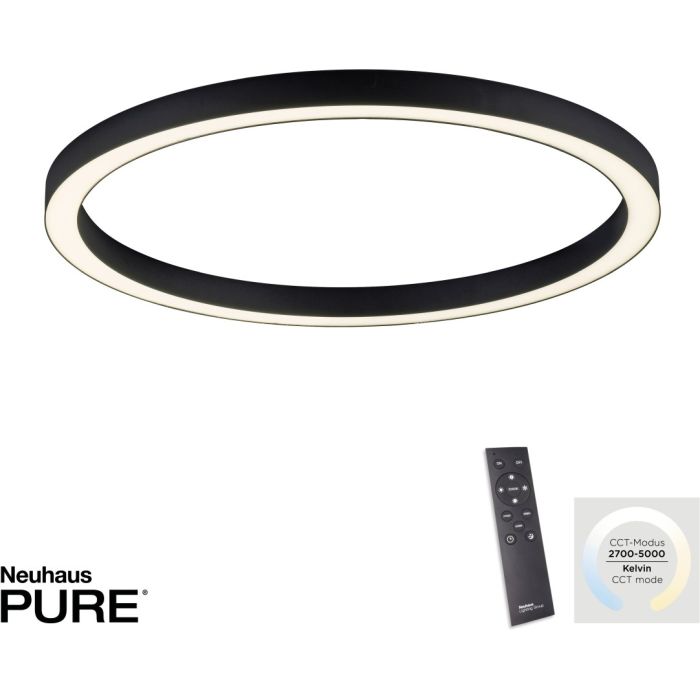 PURE-LINES-6306-13-Paul Neuhaus-250632
