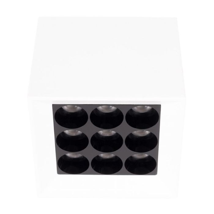 X-LINE-C0252-Maxlight-247926