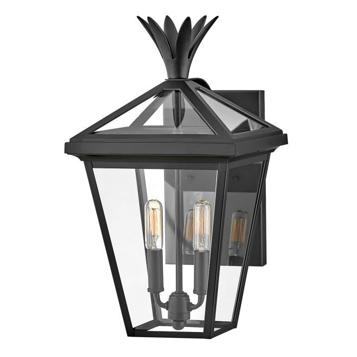 Palma-HK-PALMA-M-BK-Hinkley Lighting-234644