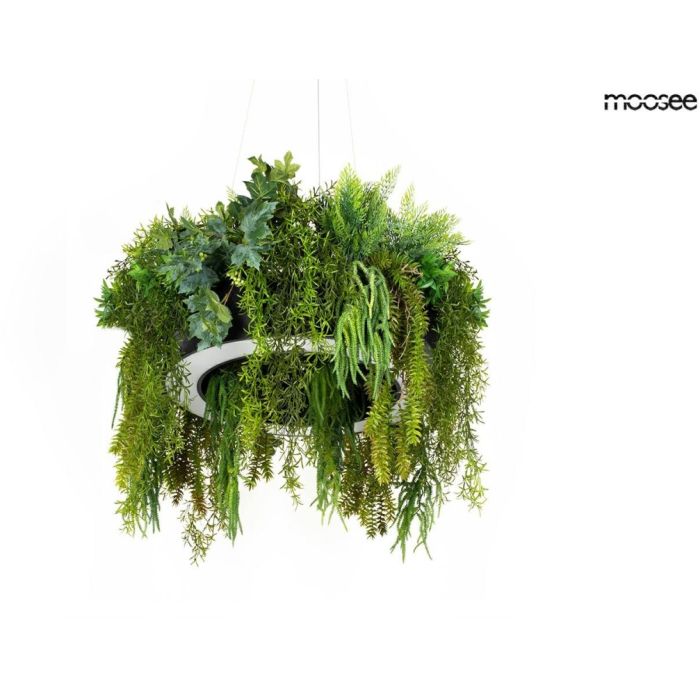 GARDENS-MSE1501100557-King Home-252634
