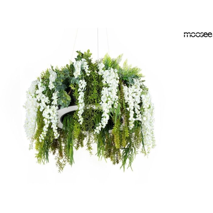 GARDENS WISTERIA-MSE1501100557.WIST-King Home-252524