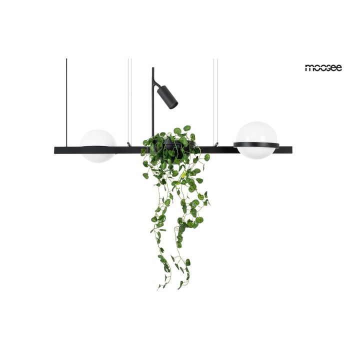MOOSEE PLANT-MSE010100156-King Home-208742