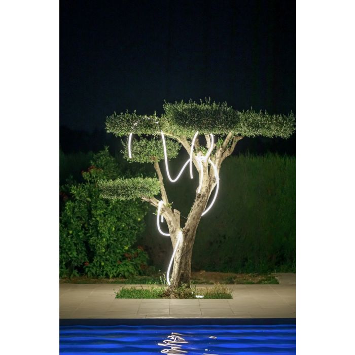 NEO-3117-New Garden-251518
