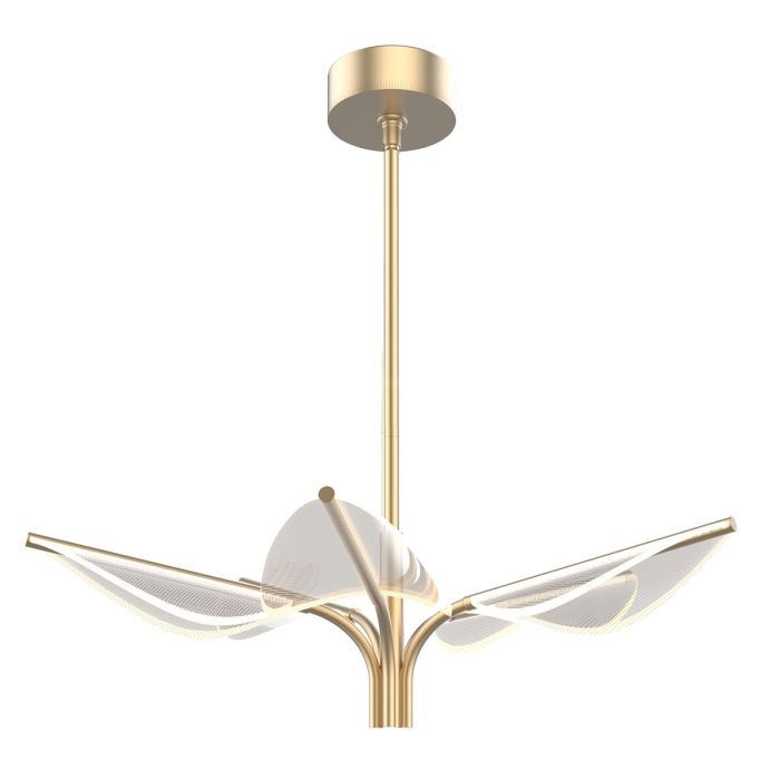 Floriana-QN-FLORIANA-P-S-NBR-Quintiesse-246429