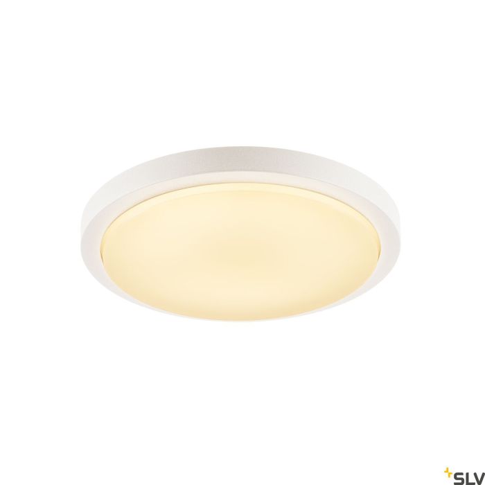 AINOS-229961-SLV-118321