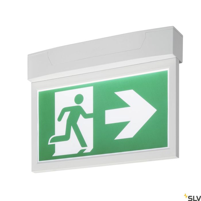 P-LIGHT-240002-SLV-112099