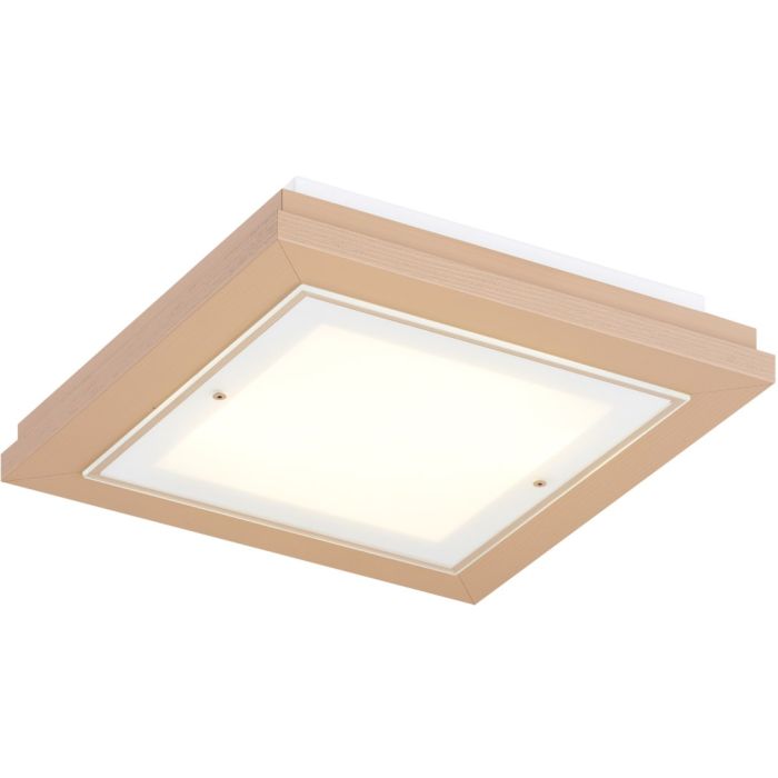 TABOR-1871-Argon-266910